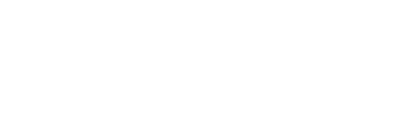 David Weekley Homes (55+) logo